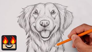 How To Draw Golden Retriever | Step by Step Sketch Tutorial