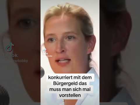 AFD - Alice Weidel - Facharbeiter - Arbeit LOHNT NICHT wegen Bürgergeld - Eure Meinung? WTF / OMG