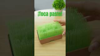 ¿Estresado? Toca pasto 🌱 Aquí tienes uno donde apoyar el celular y guardar las llaves