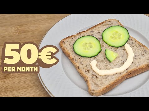 STILL SURVIVING - Living on 50€ ($60) per month in 2025