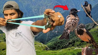 Hunting Wild Birds At Long Range | Rosay Starling Hunting with Slingshot 