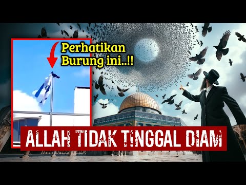 BURUNG ‘ABABIL’ DIKIRIM OLEH ALLAH.!! WARGA ISRAEL KETAKUTAN, PERTANDA BAHWA MURKA ALLAH TELAH DEKAT