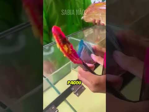 Esse Gesto do Dono da Padaria Emocionou Todo Mundo!
