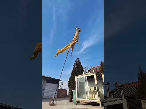 #wonderfulcircus🐾This pup is a total wall-climber superstar! 🤩 Amazing agility and courage!#part#67