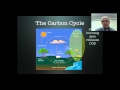 Symbiotic Relationships and Carbon Cycle