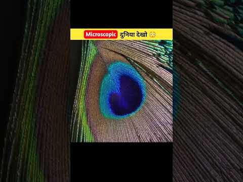 Microscope की गजब दुनिया देखो (Part 2) 🔥🔥 #Mjfactz #shorts।