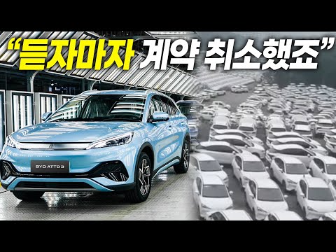 "듣자마자 계약 취소했죠" 폭망 직전이라는 BYD.. 진짜 문제는 따로 있었다