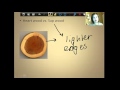 Tree Anatomy and Growth Concepts