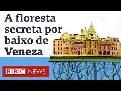 Veneza: O sistema que há 1.600 anos impede que a cidade afunde