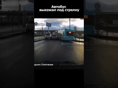 Водитель автобуса попал на большие бабки... #duraki #shorts
