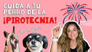 No más MIEDO de tu perro a la pirotecnia, solución 🎆🐶
