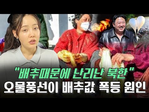 오물풍선으로 인해 북한은 또 굶어 죽게 생겼습니다.