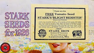 Can I Grow 100 Year Old Tomato Seeds?