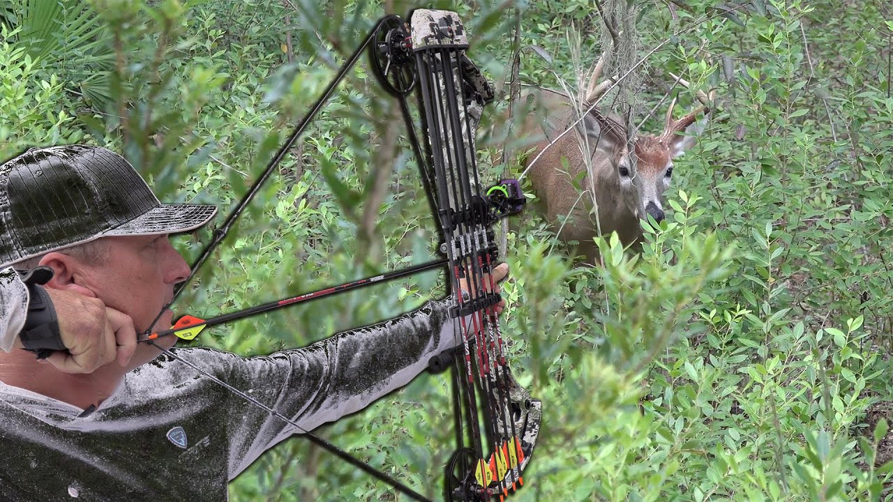 Buck with a Bow Stuffed Venison Heart Public Land Adventure!
