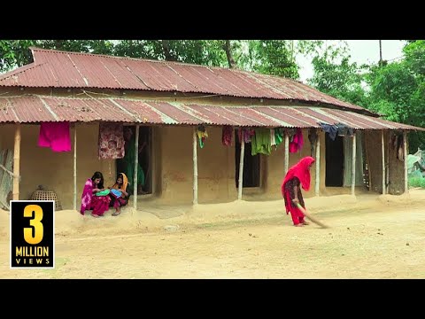 হাওর পাড়ের স্নিগ্ধ রাজপাড়া গ্রাম শ্রীমঙ্গলে || Sreemangal || Panorama Documentary