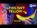 Exploring the Science of Color Perception
