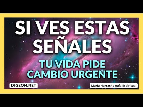 11:11 SEÑALES DE CAMBIO💌MENSAJE DE LOS ÁNGELES PARA TI -DIGEON- Arcángel Zadquiel- Ens. VERTI