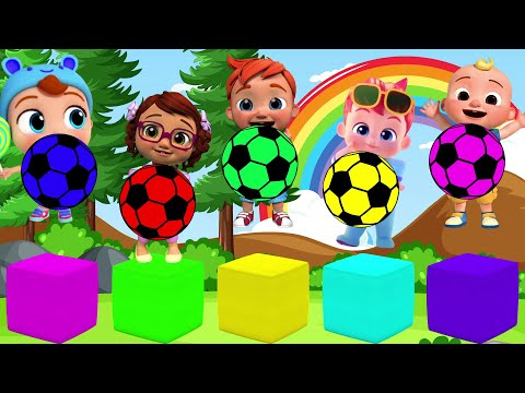 Cocomelon Let’s go have fun finding bebefinn | Cocomelon | Joãozinho | little angels for kids