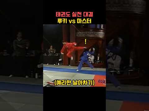 태권도 실전 대결 루키 vs 마스터
