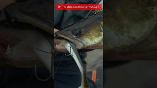 Крючки закончились. Рыбалка закончилась?