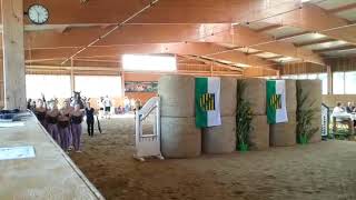 Kür VoltiTeam RC Leipzig Knauthain 2 auf Freddy Neue Anzüge Sachsenmeisterschaften Voltigieren 2016