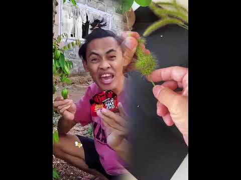 #foryou#fyp#skit#viralvideo #shorts#foryoupage