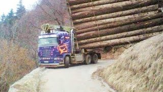 Amazing Dangerous Logging Wood Truck Operator Skills - Fastest Big Tree Felling Skill With Chainsaw
