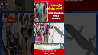 dharapuram || schoolstudents || food || lizard || thanthitv