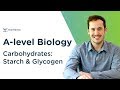Carbohydrate Structure and Function