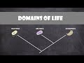 Eukaryota and Archaea Characteristics