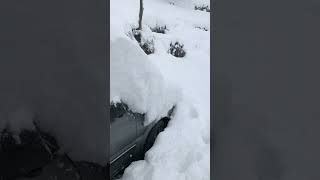 Is This Crazy Work ? Snowstorm ❄️ #snow #snowstorm #youtubeshorts #viralshorts