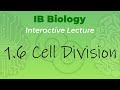 Cell Division Concepts in IB Biology
