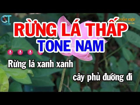 Karaoke Rừng Lá Thấp Tone Nam ( Bbm ) Nhạc Sống Hay || Karaoke Tuấn Kiệt