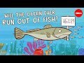 Exploring Overfishing and Its Impact on Oceans