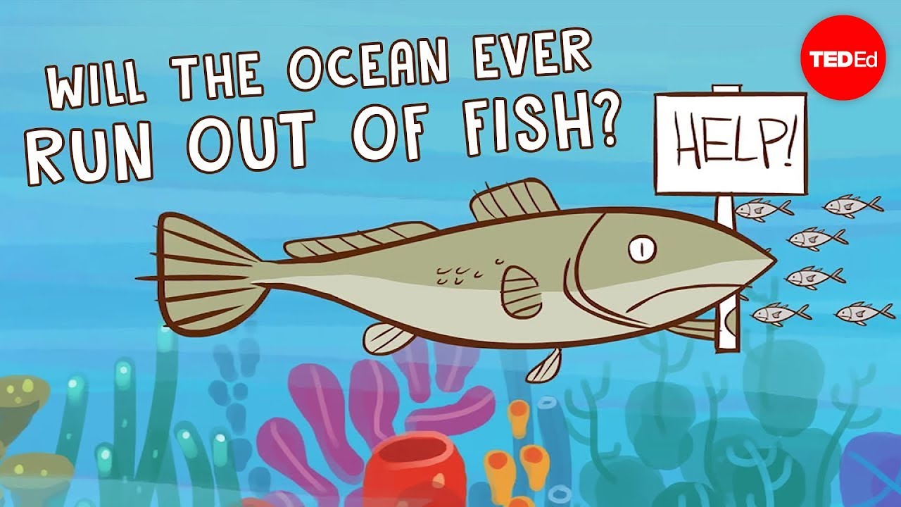 Will the ocean ever run out of fish? - Ayana Elizabeth Johnson and Jennifer Jacquet