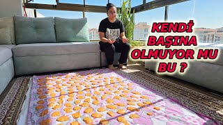 EV HALKI HASTA TARHANA YAPIYORUZ VLOG / YENİ KIYAFETLER