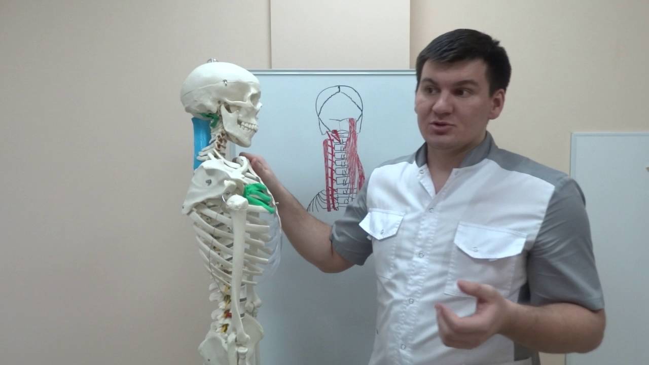 Упражнения на глубокие мышцы позвоночника. Exercises on the deep spine muscles