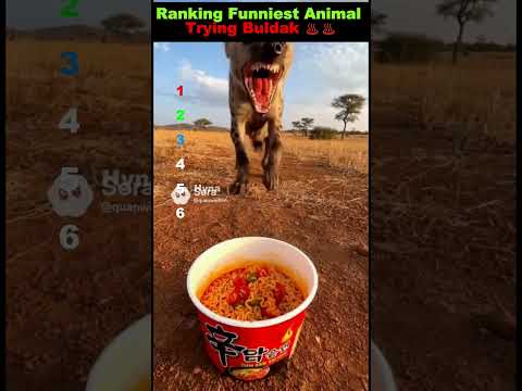 Ranking Funniest Animal Trying Buldak ๐๐พ |#shorts