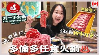 【多倫多美食】$3X和牛火鍋吃到飽🥩？！初試多倫多劉一手火鍋+新湯底實測♨️｜RAChannel