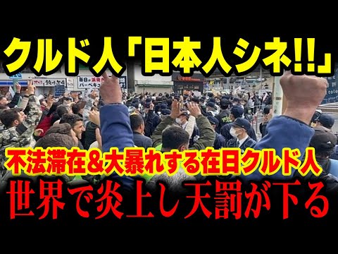 【海外の反応】クルド人の「ニホンジンシネ」発言を世界中のインフルエンサーが拡散し炎上→とんでもない天罰が下り強制帰国へww【グレートJAPANちゃんねる】