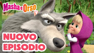 Masha e Orso 💥 Nuovo episodio! 👱‍♀️🐻 Un cucciolo per Orso 🐶👍 Cartoni animati per bambini