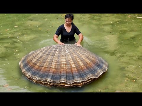 Surprised by the huge clams, the girl discovered countless colorful pearls inside