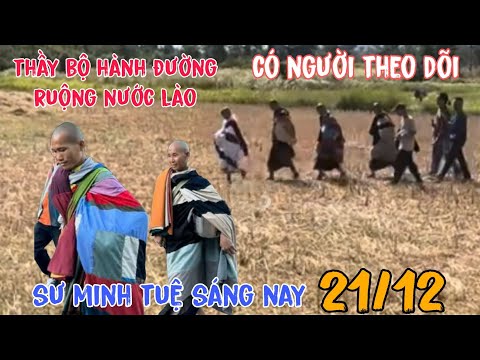 sư minh tuệ mới nhất sáng nay 21/12 hãy bảo vệ thầy nghi ngờ có người xấu theo dõi và cái kết