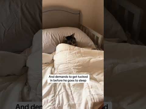 Don’t tell Milo I posted this