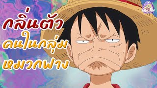 "กลิ่นตัว"คนในกลุ่มหมวกฟาง One Piece #onepiece #วันพีซ #ลูฟี่