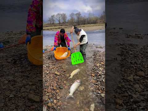 Qurbani Mubarak Special Fishing Part 59 #shorts #fishing #youtubeshorts