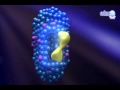 Exploring the Role of Enzymes in Chemical Reactions