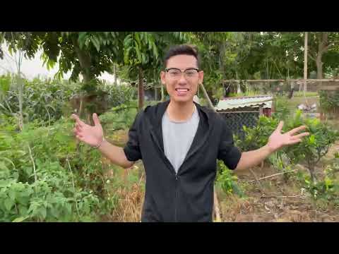 Thử Thách Đoán Tên Cây Trong Vườn Nhà Bạn