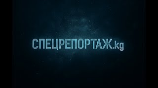 Кыргызстан: присвоение $2,5 млн и "давление на казахстанцев"