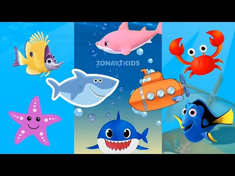 Happy dance Animals Sea at Ocean | Baby Shark Dance Song | kids song Nursery rhymes toddlers video